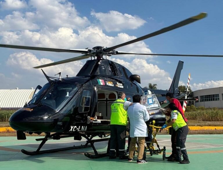 IMG-20260215-WA0134(1)